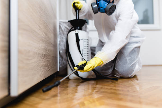Best Pest Prevention Services  in Englewood, FL