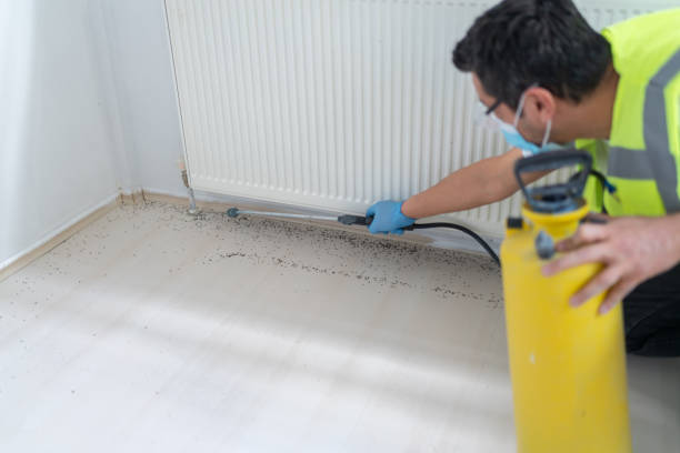 Pest Control for Restaurants in Englewood, FL